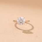 Couple promise rings round solitaire close-up