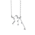 JBR Dainty Aquarius Zodiac Sign Sterling Silver Necklace - JBR Jeweler